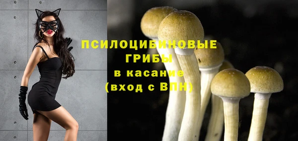 героин Горняк