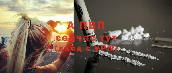 дмт Горно-Алтайск