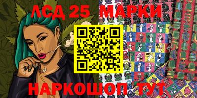 гидропоника Сланцы