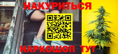 гидропоника Сланцы