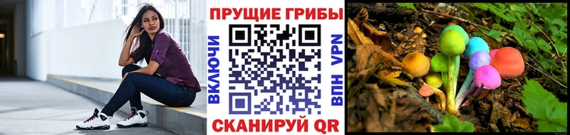 Псилоцибиновые грибы ЛСД  Сертолово 