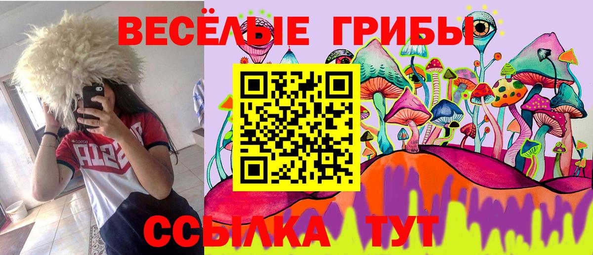 Псилоцибиновые грибы GOLDEN TEACHER Сертолово
